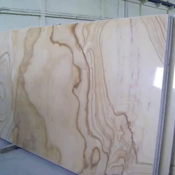 Camel-Dust-Sandstone-Polished-Slab