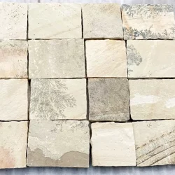 Fossil-Mint-Sandstone-Natural-Cobbles
