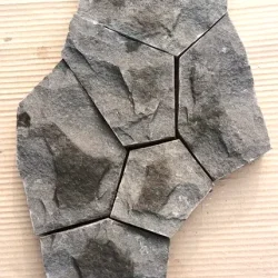 Sagar-Black-Black-Sandstone-China-Pattern