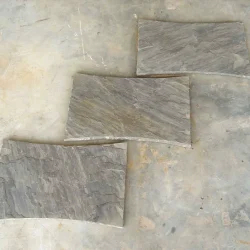Sagar-Black-Black-Sandstone-Stepping-Stone