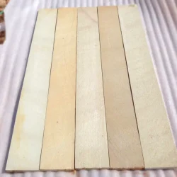 Yellow-Mint-Sandstone-Risers